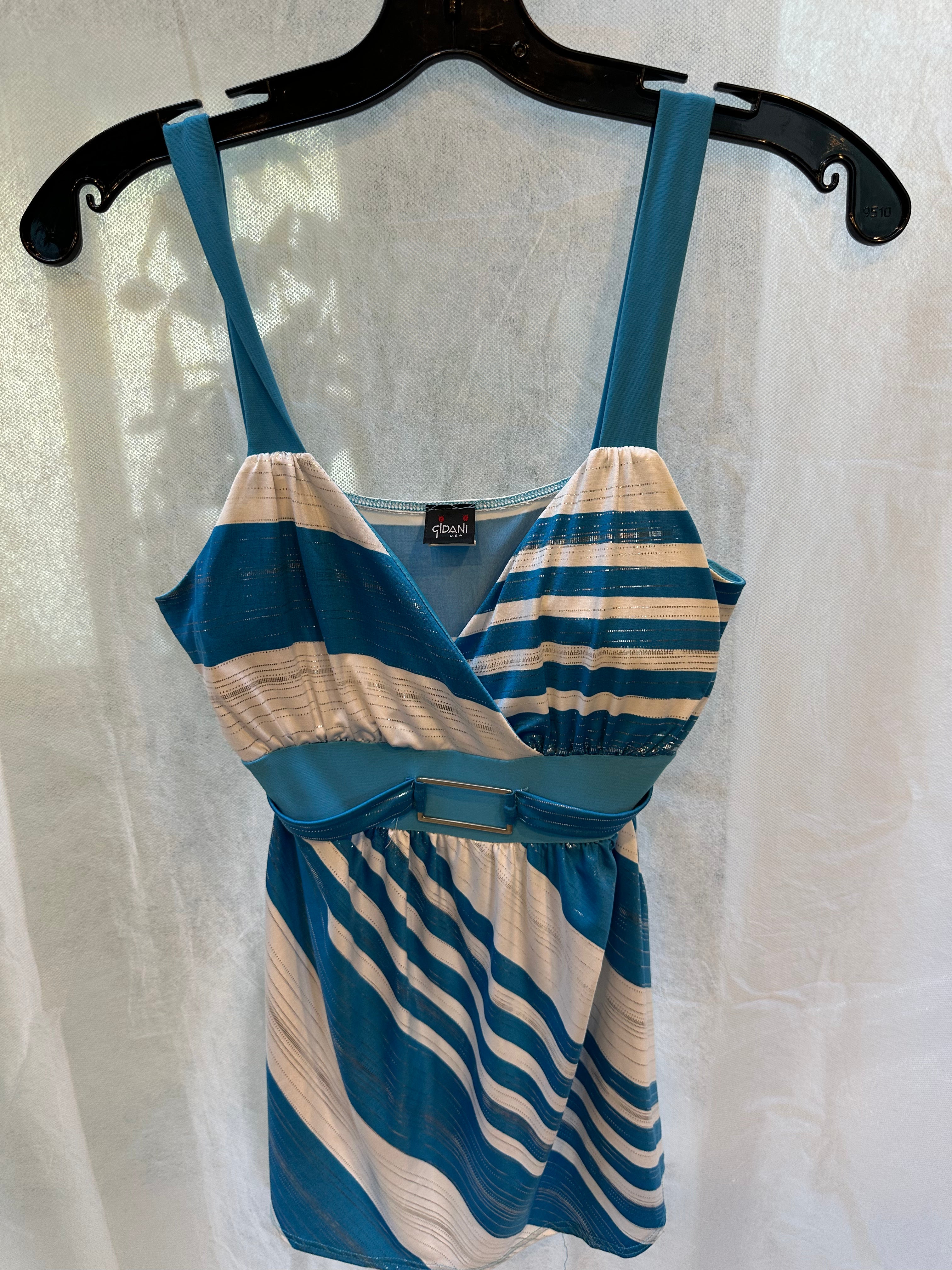 Blue stripe buckle top